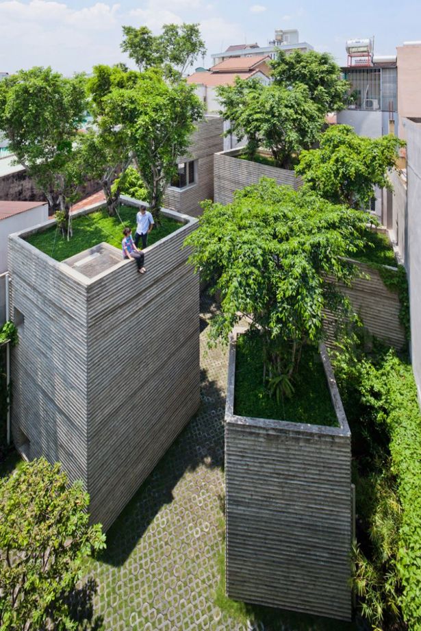 House for Trees với vườn cây trên nóc nhà của công ty kiến trúc Võ Trọng Nghĩa