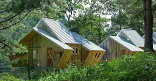 Nhà cabin bằng gỗ thông cho không gian làm việc thân thiện môi trường ở Tà Nùng (Việt Nam)