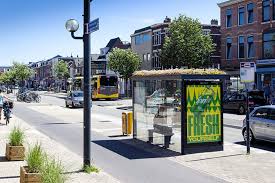 Nóc nhà xanh cho ong trên 300 trạm xe buýt (Utrecht, Hà Lan)